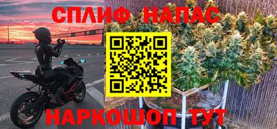 jwh Ставрополь