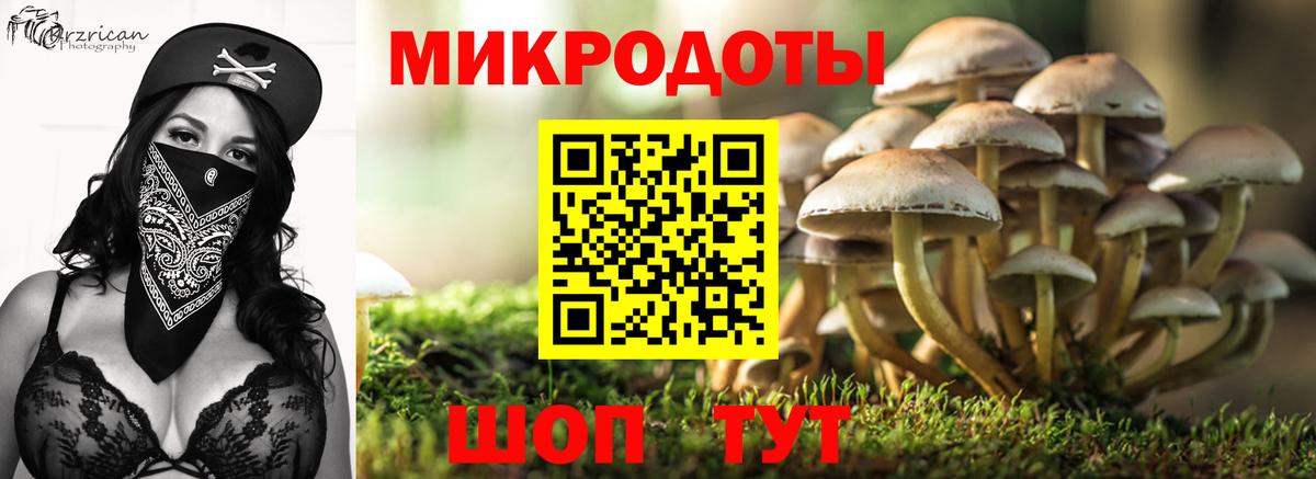 купить наркотик  Галлюциногенные грибы Psilocybe  Вход с VPN  Галлюциногенные грибы Psilocybine cubensis  Александров 